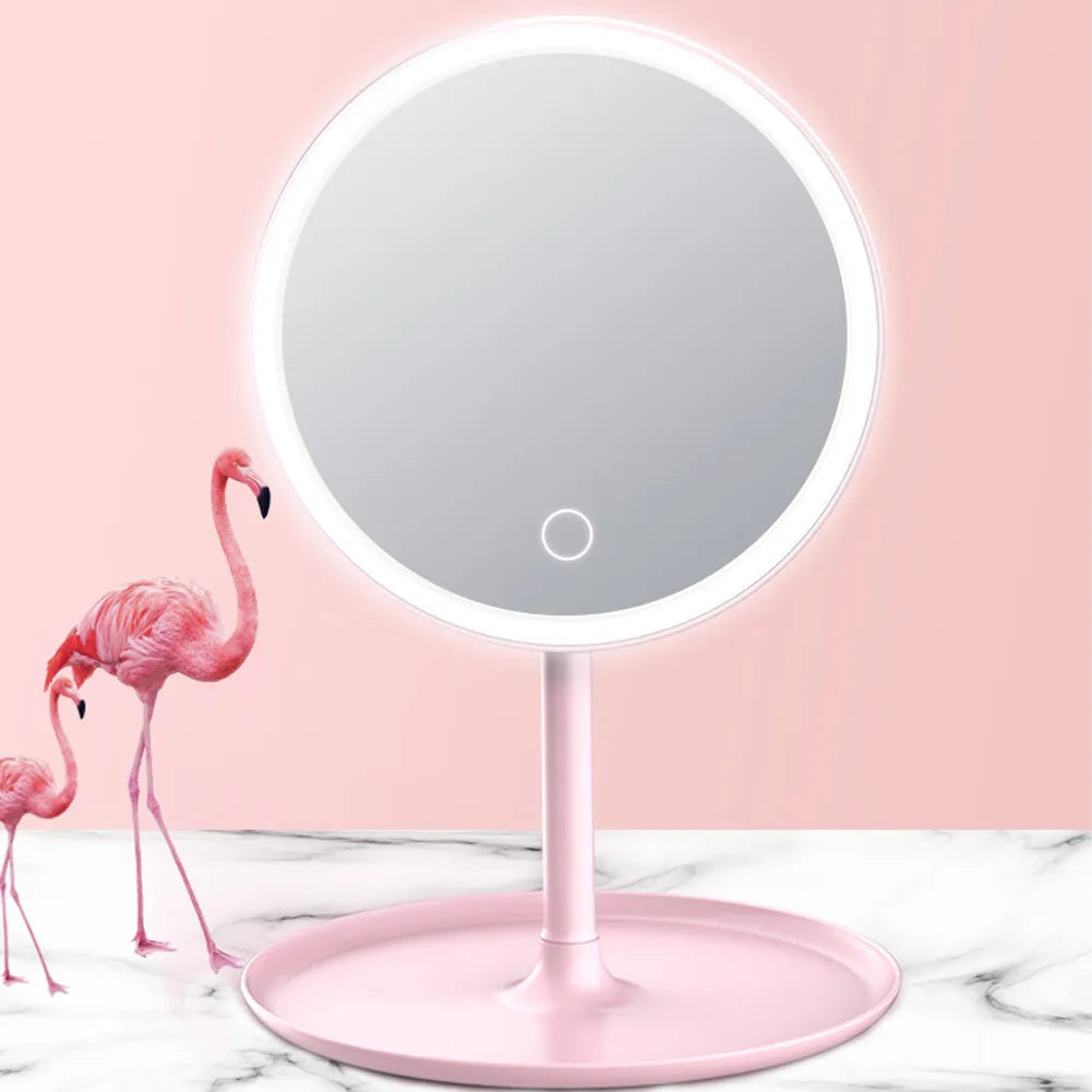 Makeup Mirror With Light White LED Daylight Vanity Mirror Detachable