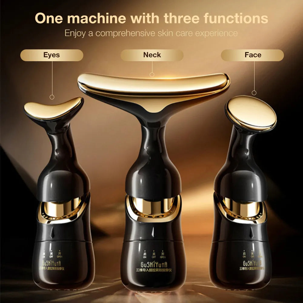 3 in 1 Black Electric Face Massager